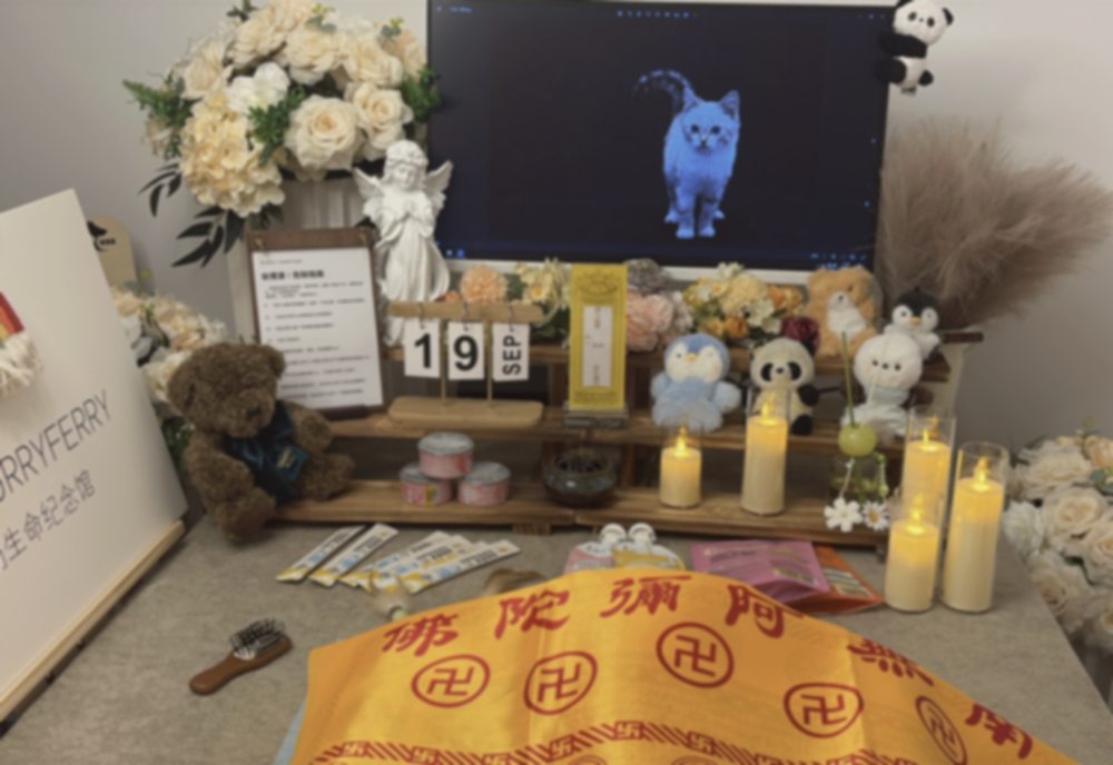 宠摆渡昆明告别仪式厅